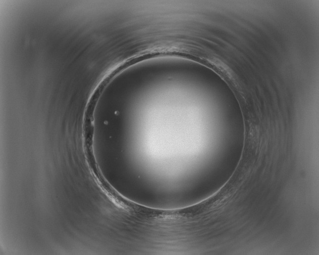 X0000060560894200511031240