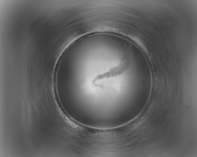 X0000060560895200511031240