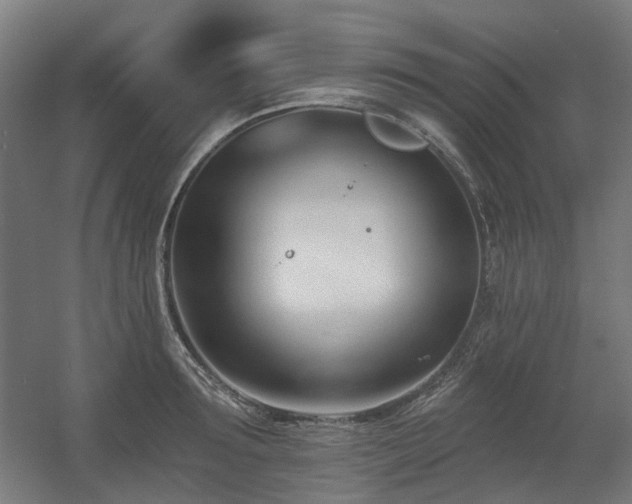 X0000060560899200511031240