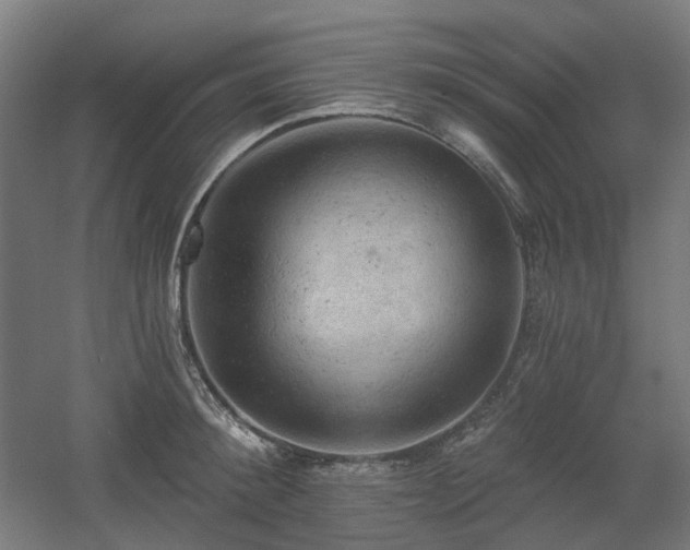 X0000060560900200511031240