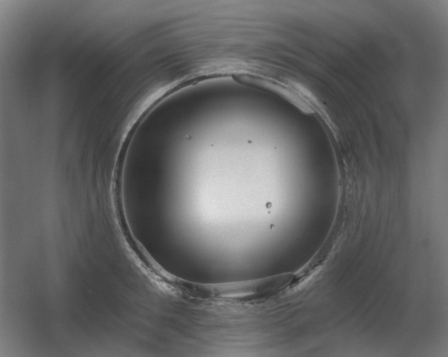 X0000060560901200511031240