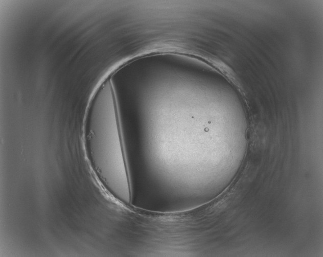 X0000060560904200511031240