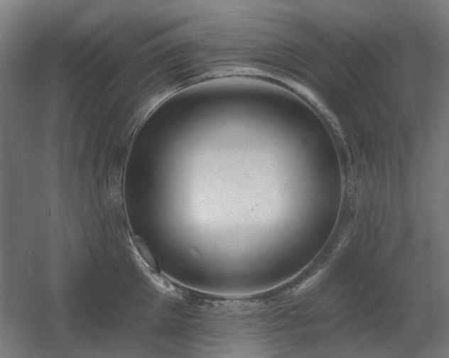 X0000060560905200511031240