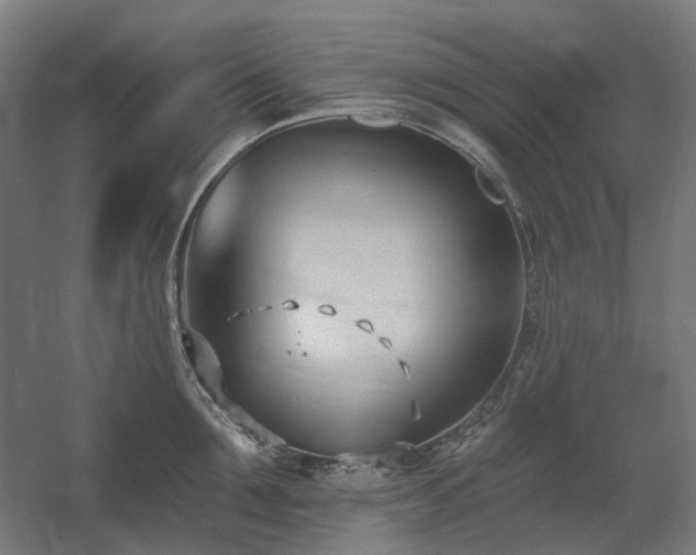 X0000060560907200511031240