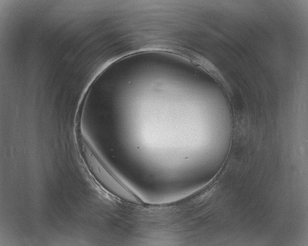 X0000060560908200511031240