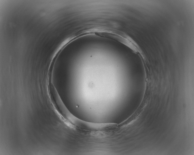 X0000060560909200511031240