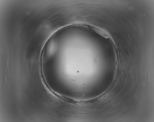 X0000060560911200511031240