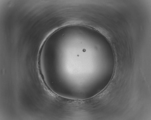 X0000060560912200511031240