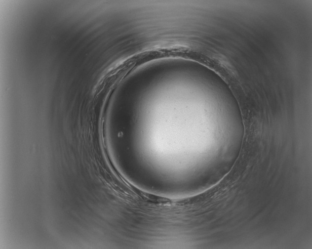 X0000060560920200511031239