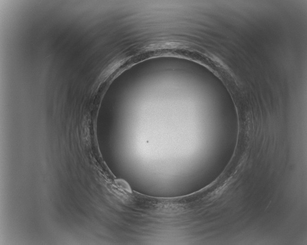 X0000060560921200511031239