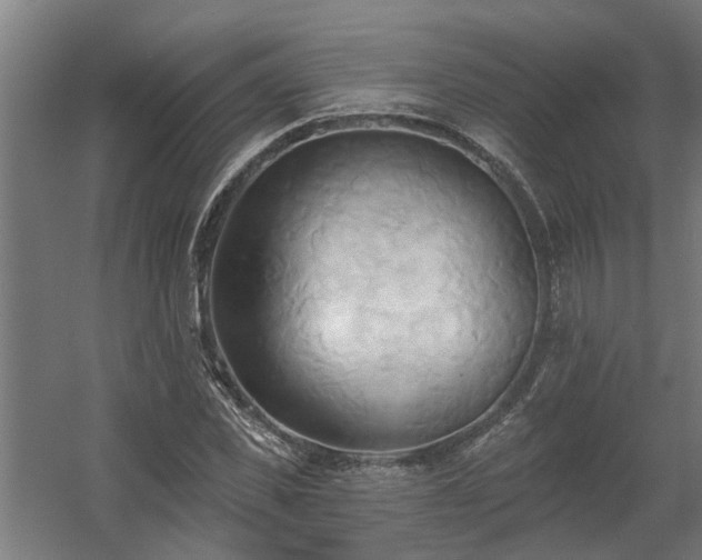 X0000060560925200511031239