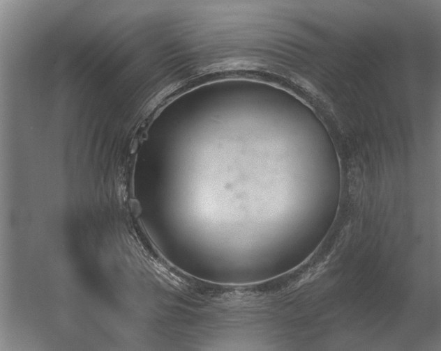 X0000060560929200511031239