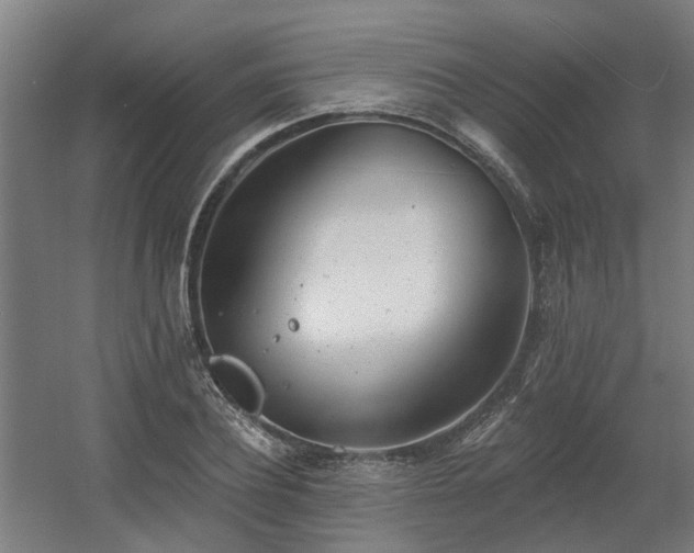 X0000060560932200511031239