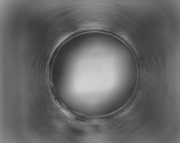 X0000060560933200511031239