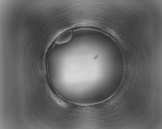 X0000060560934200511031239