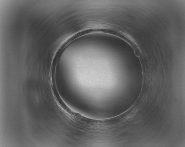 X0000060560935200511031239