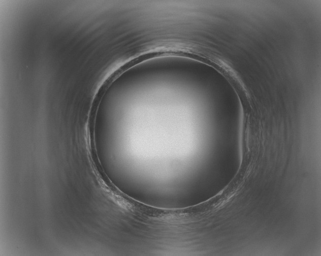 X0000060560936200511031239