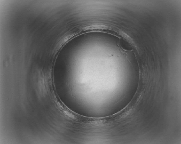 X0000060560937200511031239