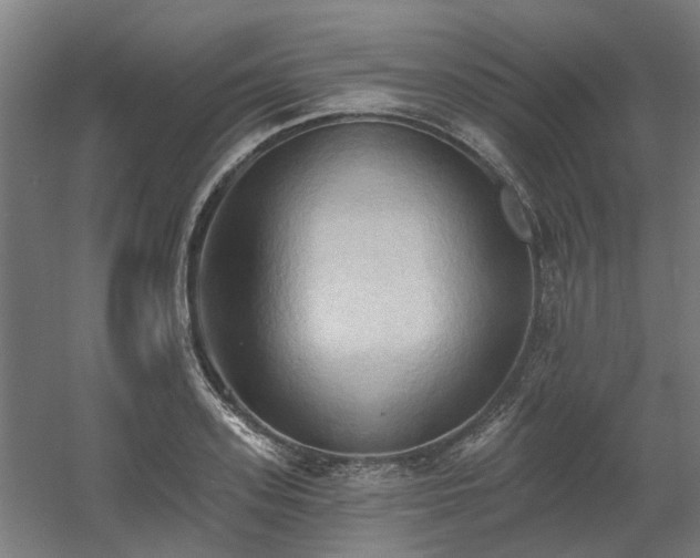 X0000060560939200511031239