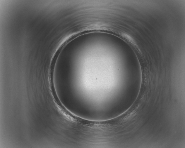 X0000060560942200511031239