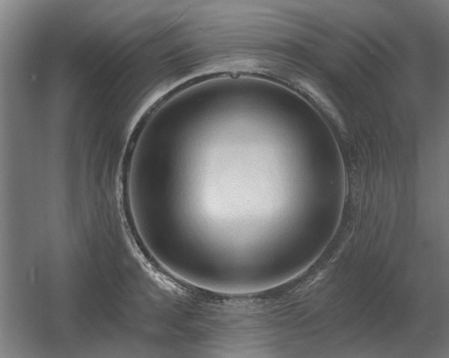 X0000060560944200511031239