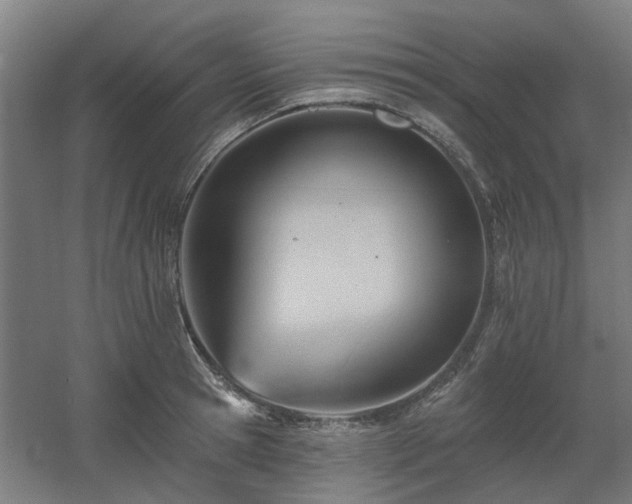 X0000060560945200511031239