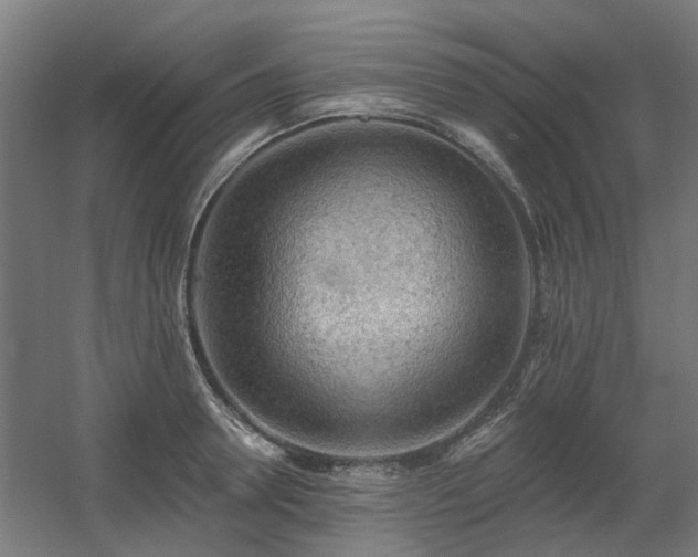 X0000060560946200511031239