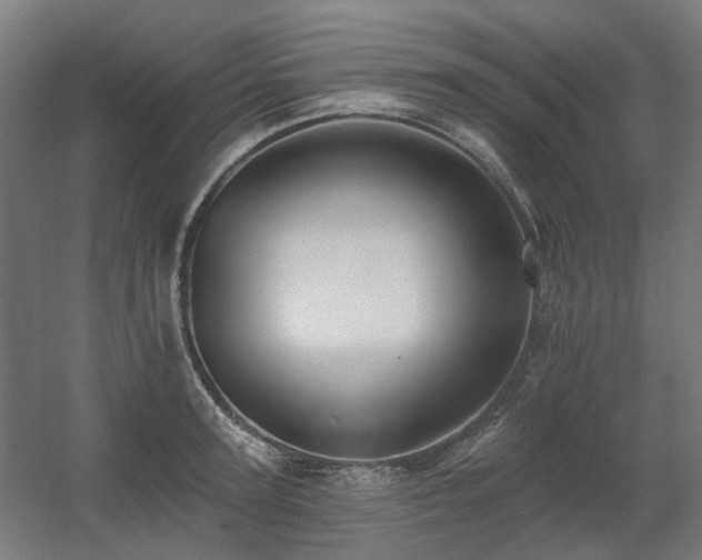 X0000060560947200511031239