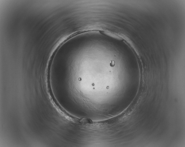 X0000060560949200511031239