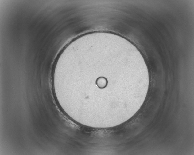 X0000060560950200511031239