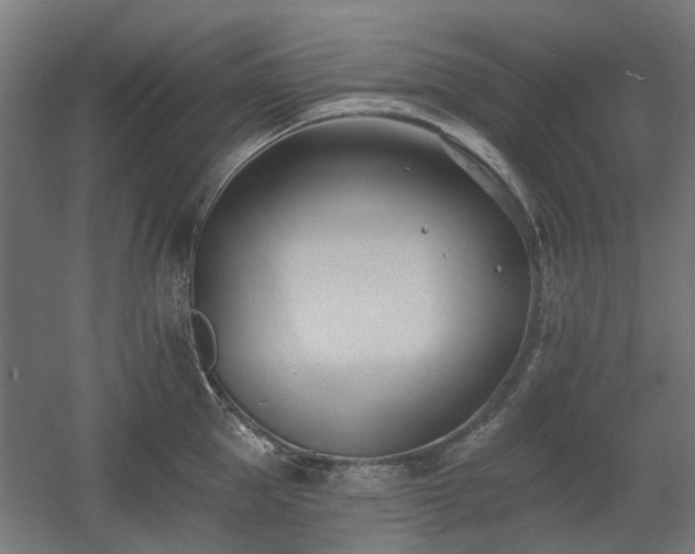 X0000060560953200511031239