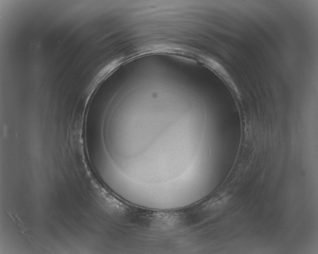 X0000060560954200511031239