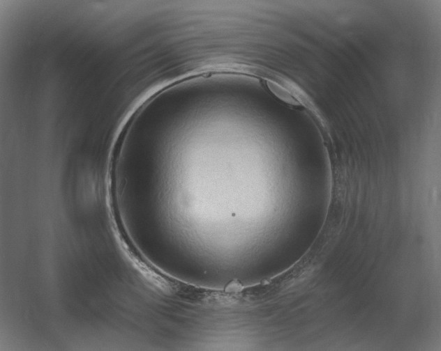 X0000060560955200511031239