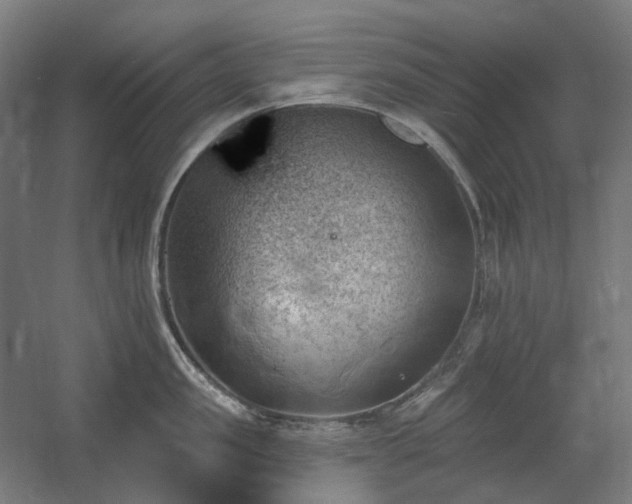 X0000060560957200511031239