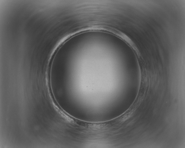 X0000060560958200511031239