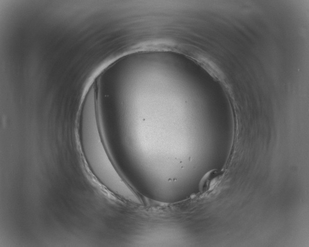 X0000060560960200511031240