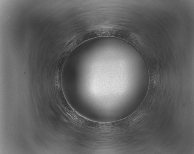 X0000060560964200511031239