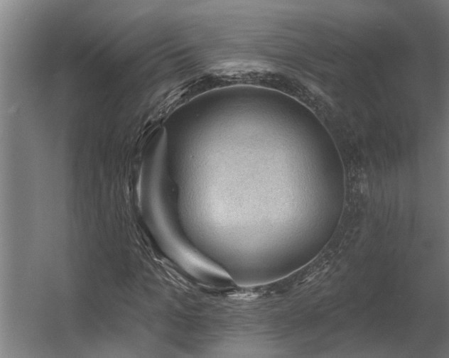 X0000060560965200511031239