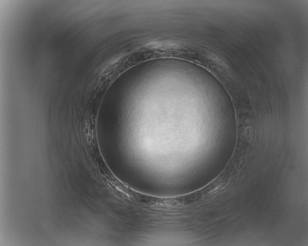 X0000060560966200511031239