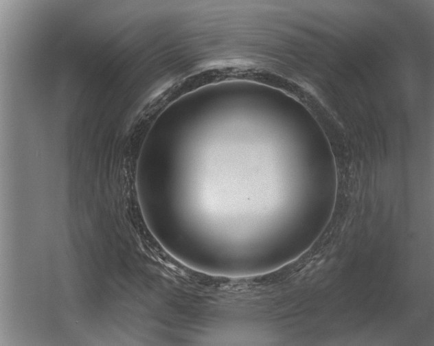 X0000060560967200511031239