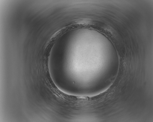 X0000060560968200511031239