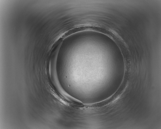 X0000060560969200511031239