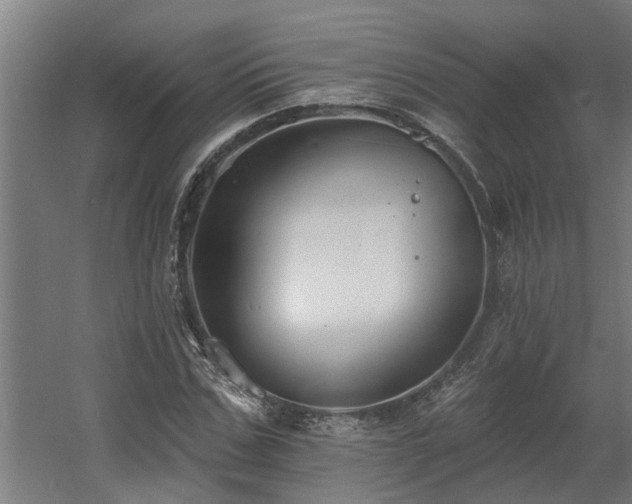 X0000060560971200511031239