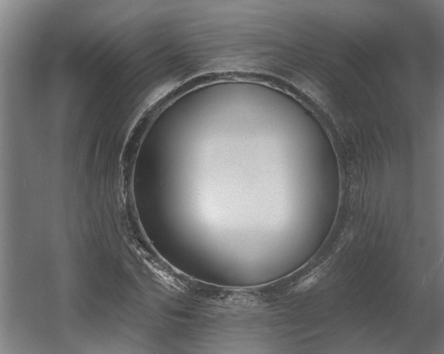 X0000060560974200511031238