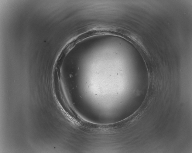 X0000060560976200511031238