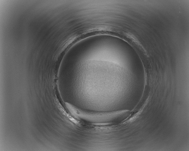 X0000060560977200511031238