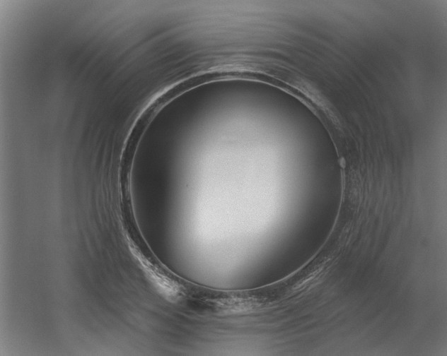 X0000060560980200511031238