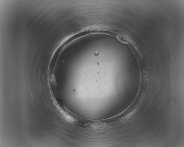 X0000060560981200511031238