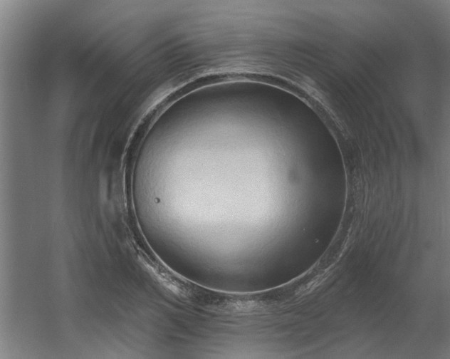 X0000060560982200511031238