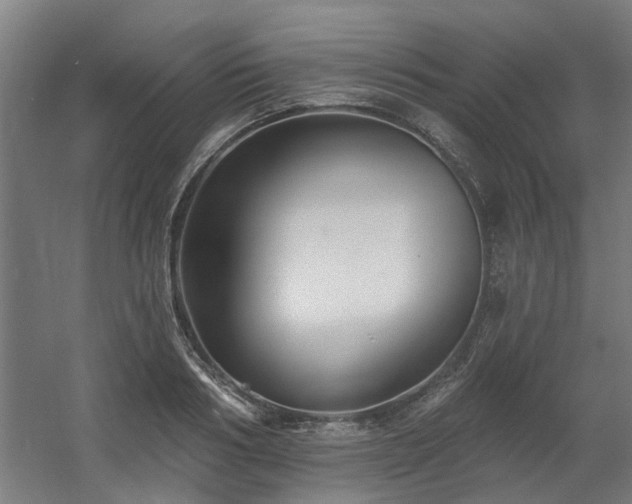 X0000060560986200511031238